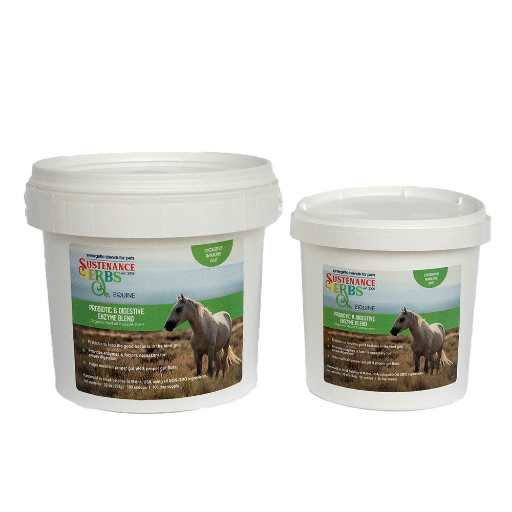 Equine Probiotic & Digestive Enzyme Blend – Sustenance Herbs